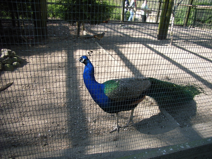 Abenteuerspielplatz