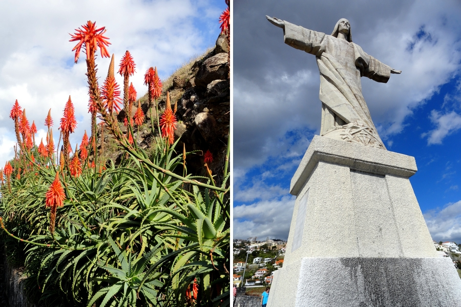 Blumeninsel Madeira